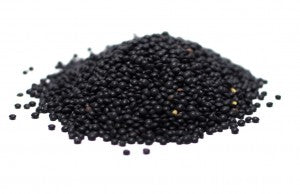 Black Beluga Lentils