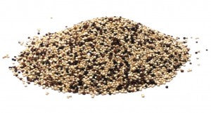 Quinoa, Tri-colored